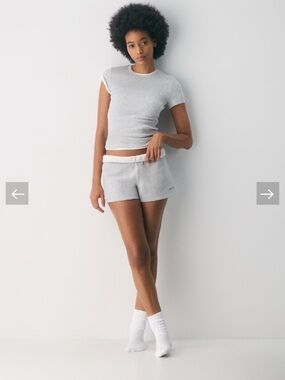 Aritzia Homestretch Rib Tee in Heather Chrome